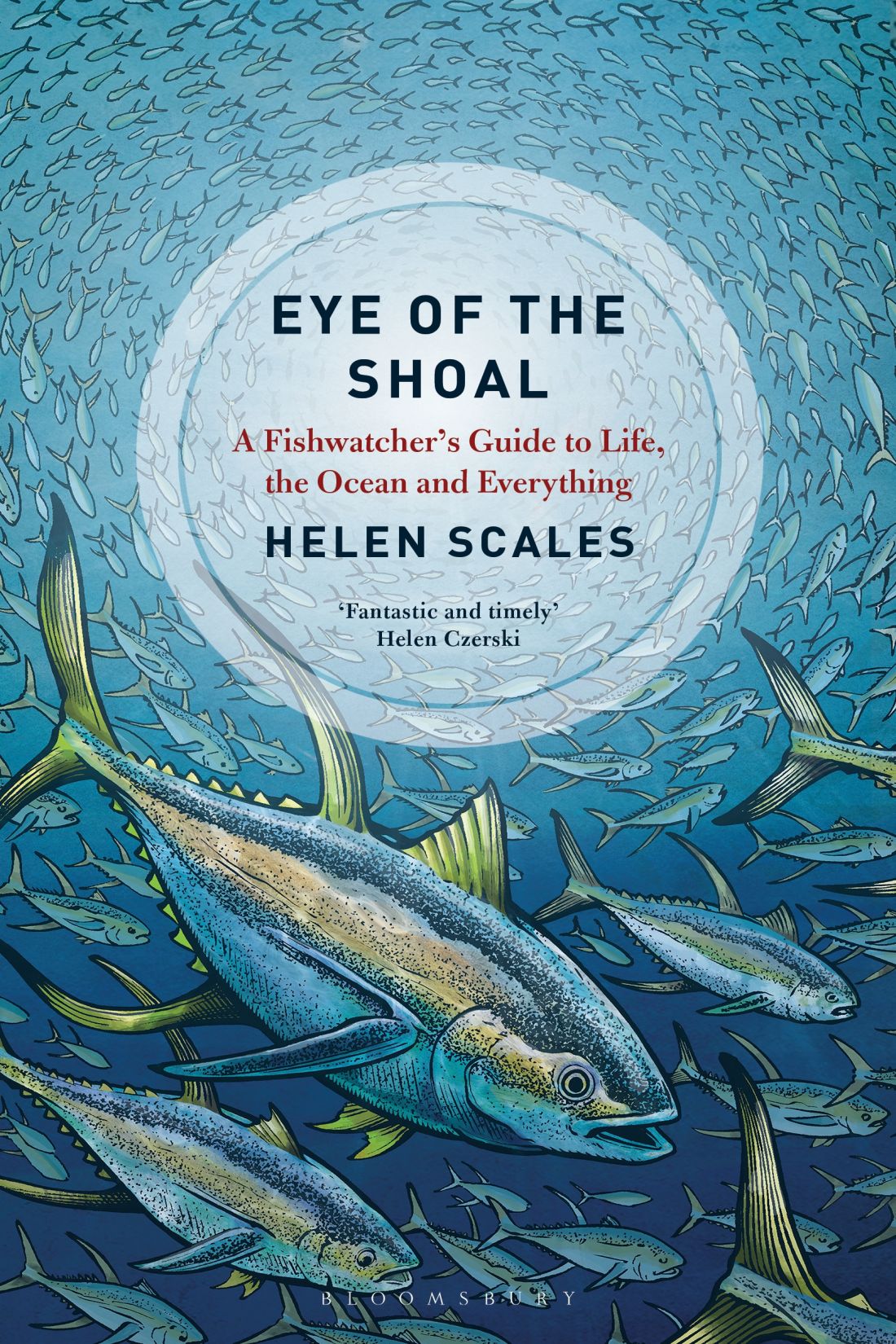 Eye of the Shoal: A Fishwatcher's Guide to Life, the Ocean and Everything
